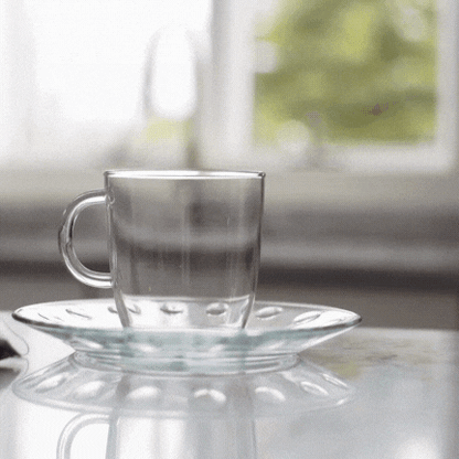 TÉ JAPONEXT - Té con receta Japonesa