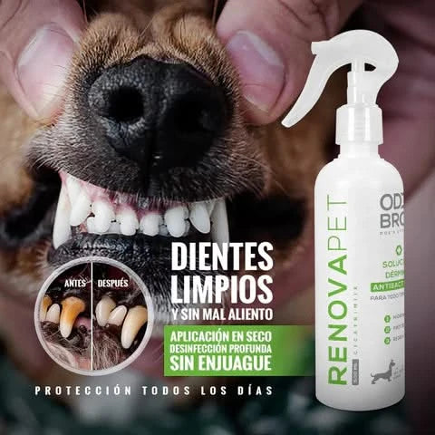 RENOVAPET - Elimina Sarro y Mal Aliento 🐶