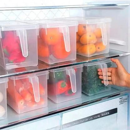 Organizador Multiusos con Tapa y Manija